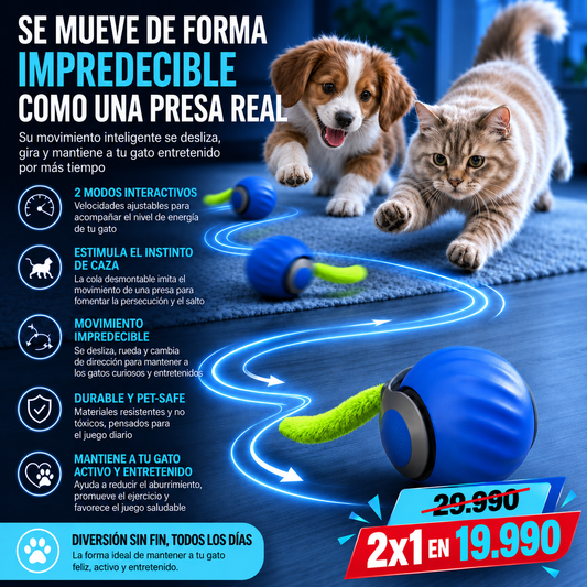 Pelota Interactiva Para Mascotas
