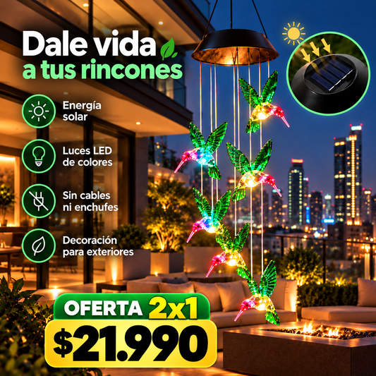 Dale vida a tus rincones con nuestros Colibríes con panel solar