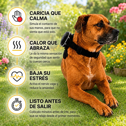 Masajeador Antiestres Para Perros